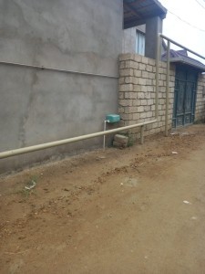 image 377384