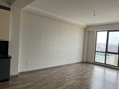 image 377385