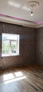 image 377395