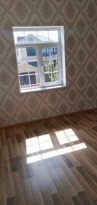 image 377395