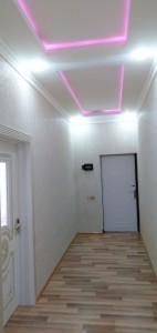 image 377395