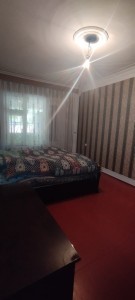 image 377418