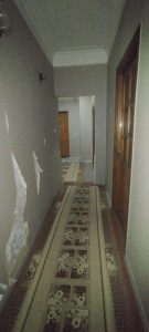 image 377418
