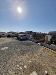 image 377420