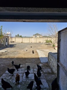 image 377420