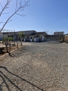 image 377420