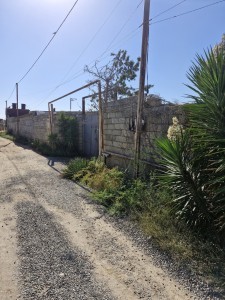 image 377420
