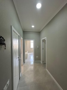 image 377421