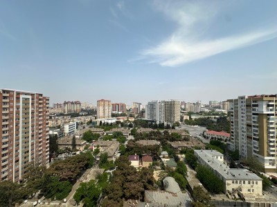 image 377421