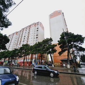 image 377422