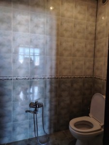 image 377433