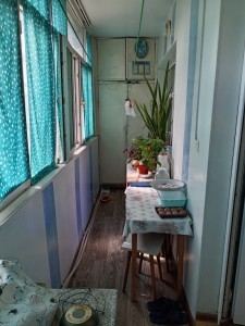 image 377434