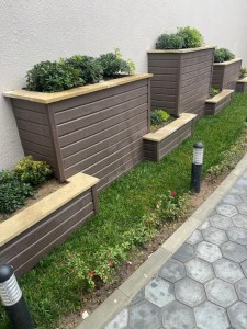 image 377458