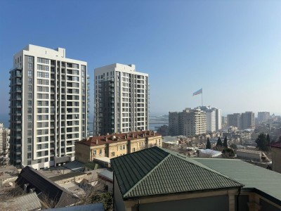 image 377461