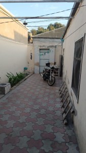 image 377471