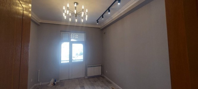 image 377479