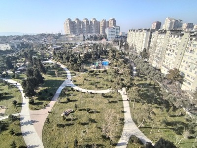 image 377495