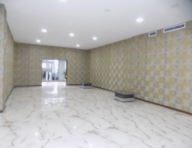 image 377501