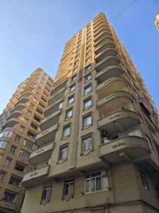 image 377505