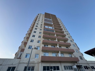image 377507