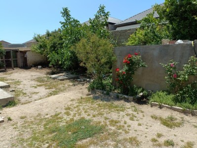 image 377510