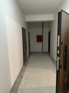 image 377527