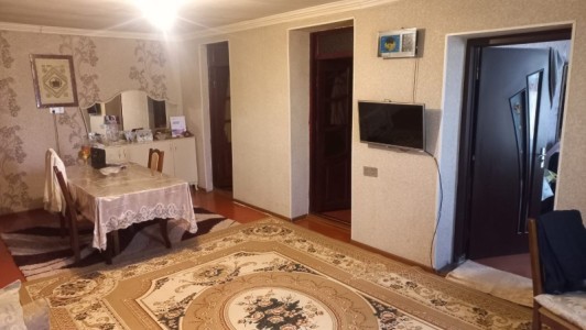 image 377530