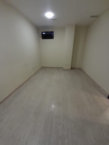image 377538
