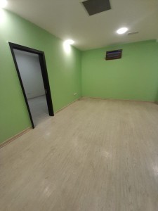 image 377538