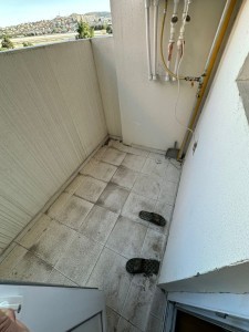 image 377539