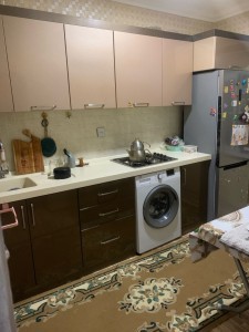 image 377550