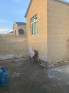 image 377550