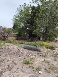 image 377551