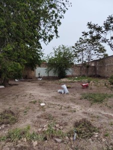 image 377551