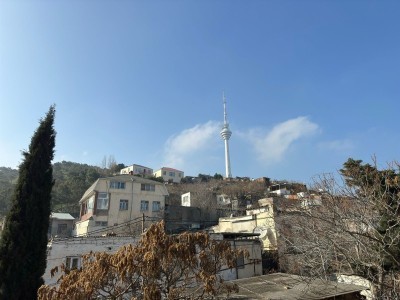image 377563