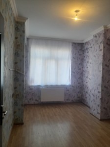 image 377565