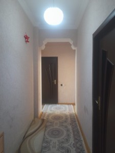 image 377565