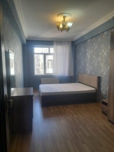 image 377565