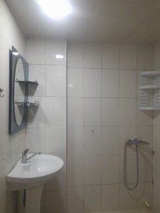 image 377565