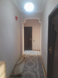 image 377565