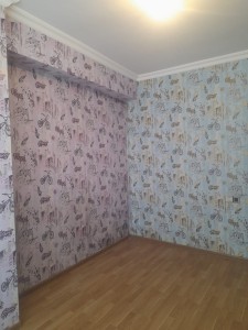 image 377565