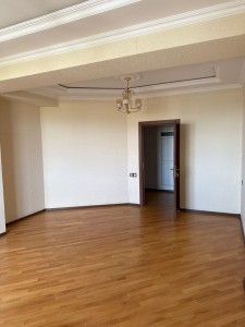 image 377570