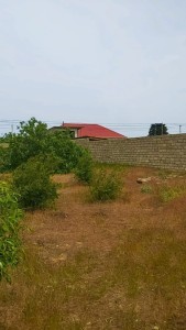 image 377571
