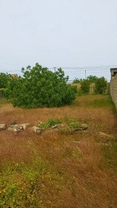 image 377571