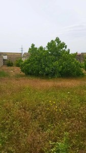 image 377571