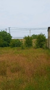 image 377571