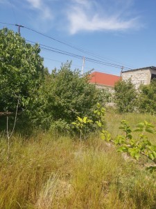 image 377571