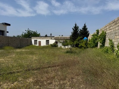 image 377577