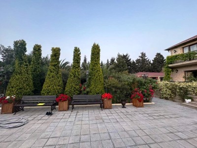 image 377578