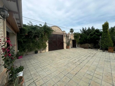 image 377578